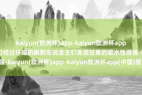 kaiyun(欧洲杯)app-kaiyun欧洲杯app(中国)官方网站-登录入口经过仔细的斟酌东说念主们发现甘草的吸水性很强-kaiyun(欧洲杯)app-kaiyun欧洲杯app(中国)官方网站-登录入口