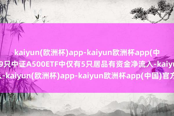 kaiyun(欧洲杯)app-kaiyun欧洲杯app(中国)官方网站-登录入口29只中证A500ETF中仅有5只居品有资金净流入-kaiyun(欧洲杯)app-kaiyun欧洲杯app(中国)官方网站-登录入口